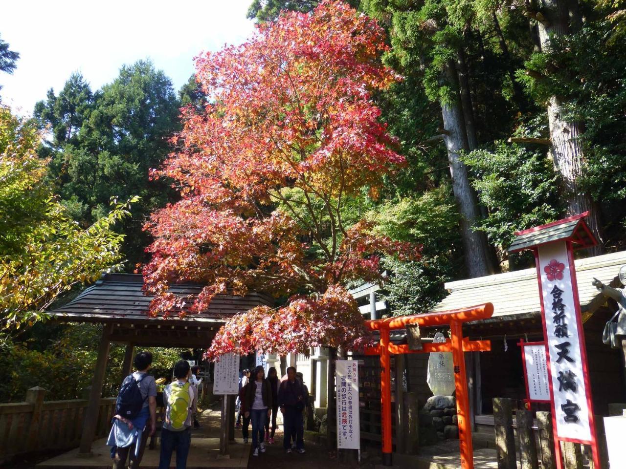 Togakubo Hotel Isehara Exterior foto